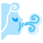wind face Noto Emoji
