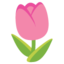 tulip Noto Emoji