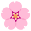 cherry blossom Noto Emoji