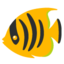 tropical fish Noto Emoji