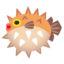 blowfish Noto Emoji