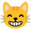 grinning cat with smiling eyes Noto Emoji