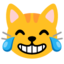 cat with tears of joy Noto Emoji