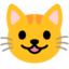 grinning cat Noto Emoji