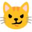 cat with wry smile Noto Emoji