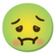 nauseated face Noto Emoji