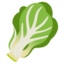 leafy green Noto Emoji