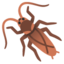 cockroach Noto Emoji