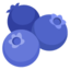 blueberries Noto Emoji